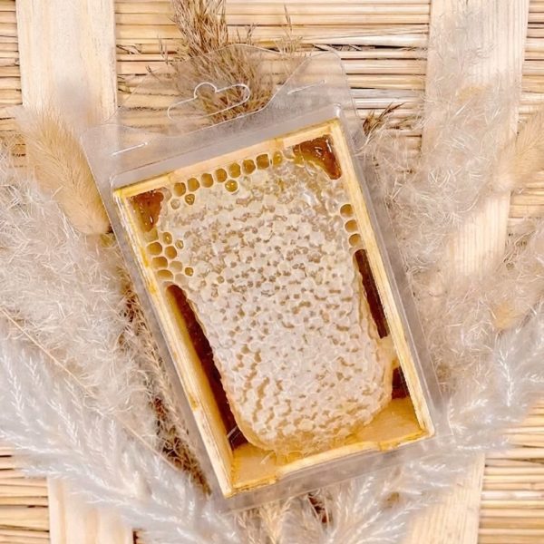 Rohhonig als Wabenhonig in Naturbauweise – naturbelassener Stadthonig aus echtem Bienenwabenbau, unverarbeitet und direkt aus dem Bienenstock in Berlin