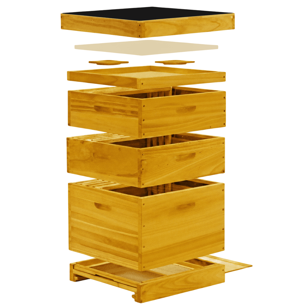 12er Dadant US Beute Komplettbeuten