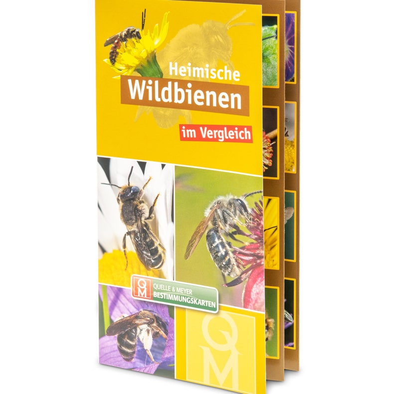 Lehrtafeln & Plakate