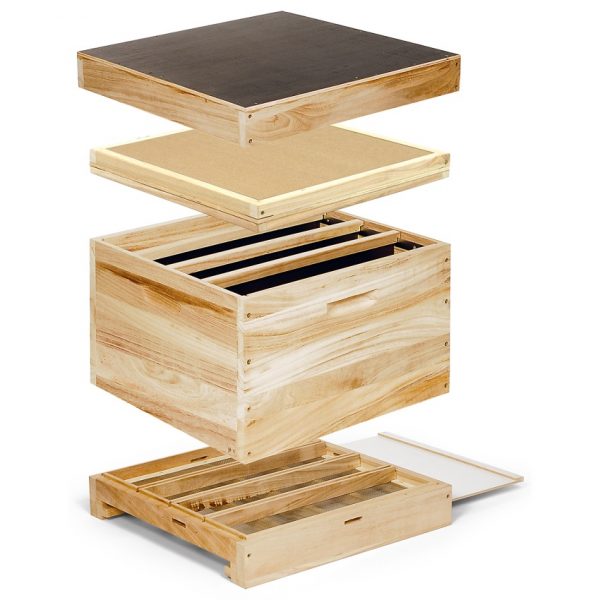 12er Dadant US Ablegerkasten