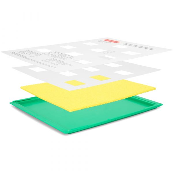 Apidea Säureaplikator