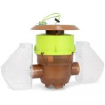 BeeVital Velutina Falle