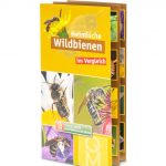 Flyer "Heimische Wildbienen"