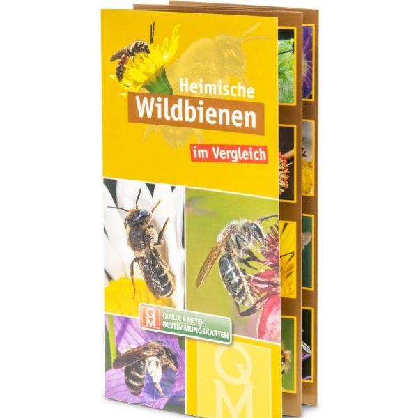 Flyer "Heimische Wildbienen"