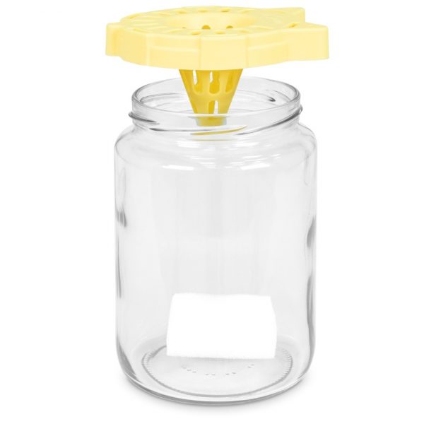 Imgut® Velutina Fangglas-Falle