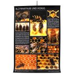 Poster "Blütenstaub und Honig"