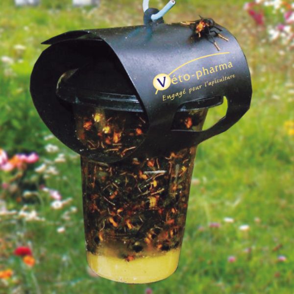 VespaCatch Falle für Asiatische Hornisse