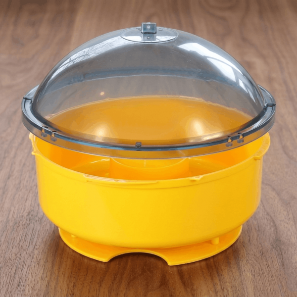 Bieno®Plast Wespenfänger