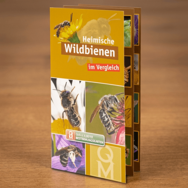 Flyer "Heimische Wildbienen"