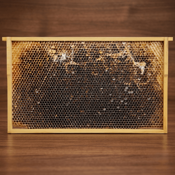 Virtuelles Bienenvolk DN